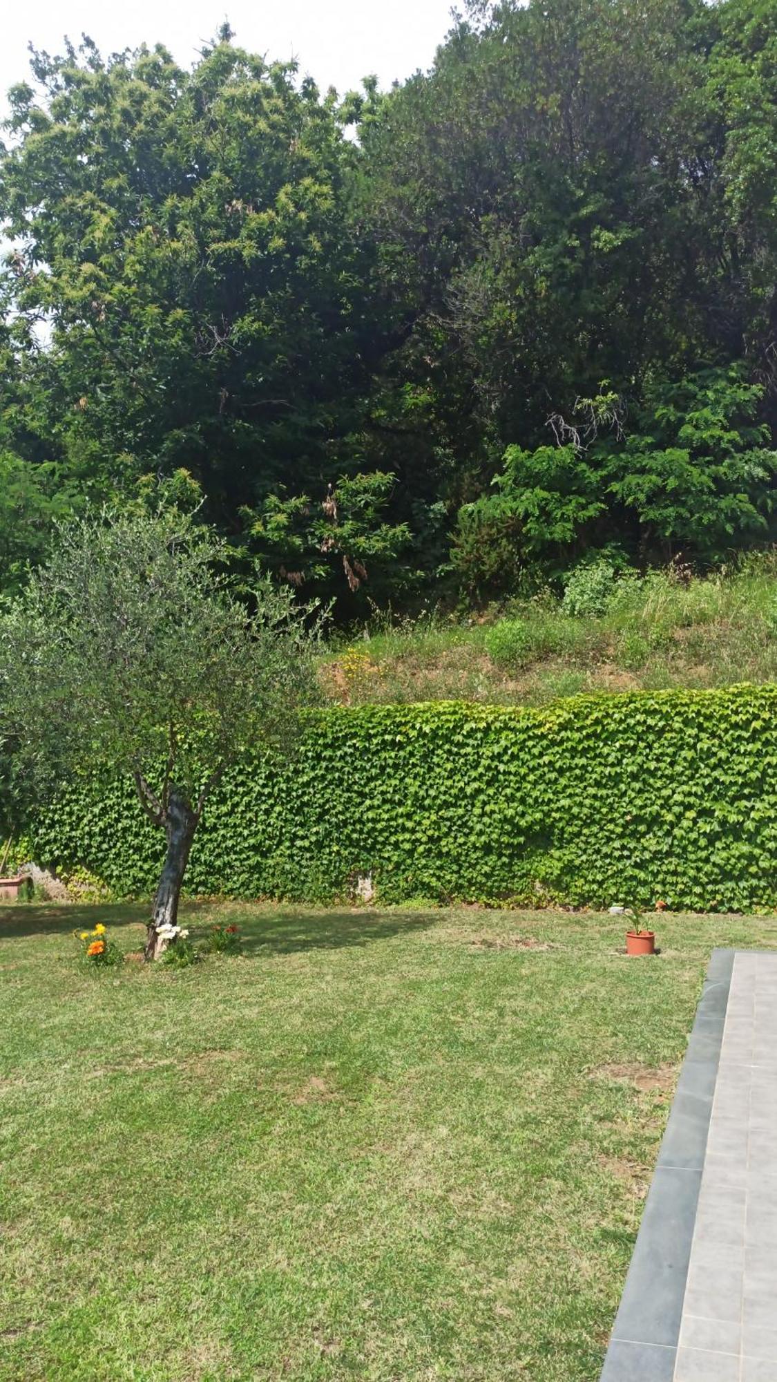"Vento Di Levante Suite" Benvenuti In Collina คาซาร์ซา ลิกูเร ภายนอก รูปภาพ